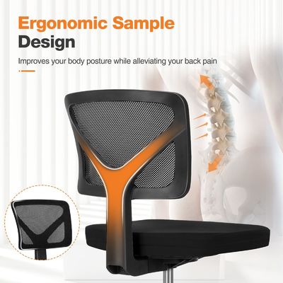 Mesa e cadeira de escritório em casa ergonômica de costas baixas com travesseiro lombar em cores personalizadas